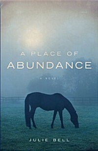 A Place of Abundance (Paperback)