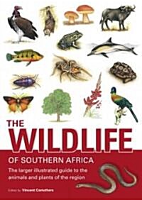 The Wildlife of Southern Africa: The Larger Illustrated Guide to the Animals and Plants of the Region (Paperback)