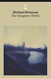 The Imageless World (Paperback)