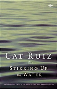 Stirring Up the Water (Paperback)