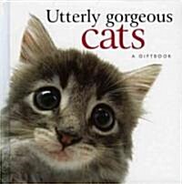 Utterly Gorgeous Cats (Hardcover)