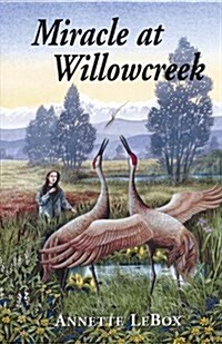 Miracle at Willowcreek (Paperback)
