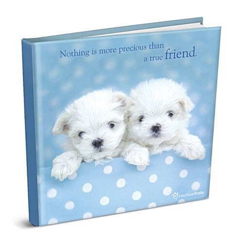 Nothing Is More Precious Than a True Friend (Hardcover)