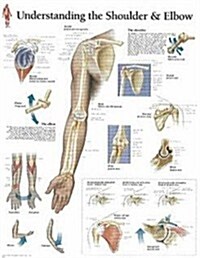 Understanding the Shoulder & Elbow Chart: Wall Chart (Other)