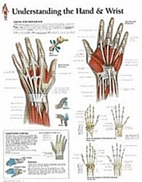 Understanding the Hand & Wrist Chart: Wall Chart (Other)