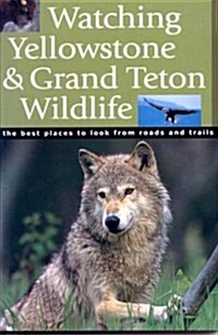 Watching Yellowstone & Grand Teton Wildlife (Paperback)