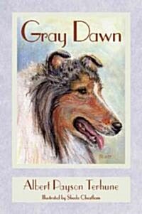 Gray Dawn (Paperback, 2nd)