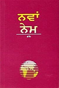 Punjabi New Testament-FL-Easy-To-Read (Paperback)