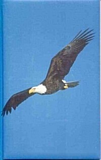 Eagle Blank Journal (Hardcover)