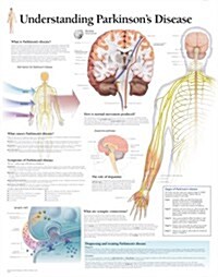 Understanding Parkinsons Chart: Laminated Wall Chart (Other)