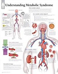 Metabolic Syndrome Chart: Laminated Wall Chart (Other)