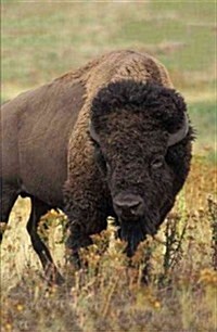 Bison Blank Journal (Hardcover)