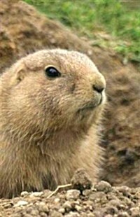 Prairie Dog Lined Journal (Other)