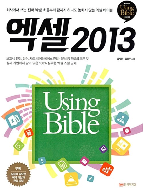 엑셀 2013 Using Bible