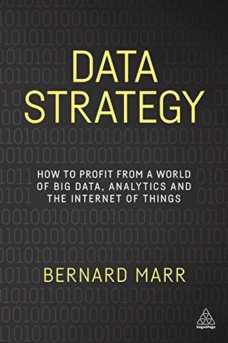 Data Strategy : How to Profit from a World of Big Data, Analytics and the Internet of Things (Paperback)