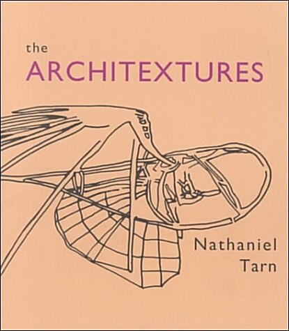 The Architextures, 1988-1994 (Paperback)