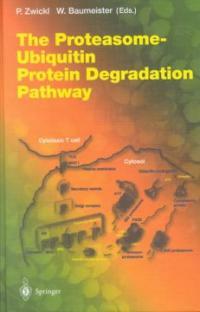 The proteasome-ubiquitin protein degradation pathway