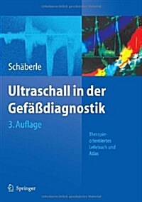 Ultraschall in Der Gefassdiagnostik (Hardcover, 3rd)