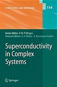 Superconductivity in Complex Systems (Paperback, Reprint)