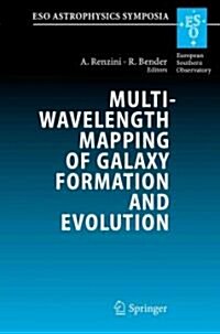 Multiwavelength Mapping of Galaxy Formation and Evolution: Proceedings of the Eso Workshop Held at Venice, Italy, 13-16 October 2003 (Paperback)