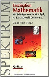 Faszination Mathematik (Paperback)