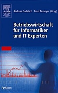 Betriebswirtschaft Fur Informatiker Und It-experten (Paperback)
