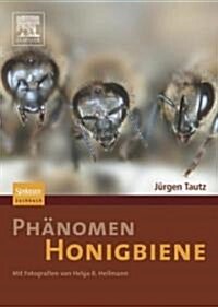 Ph?omen Honigbiene (Hardcover)