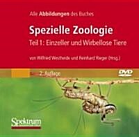 Bild-DVD, Spezielle Zoologie, Teil 1: Einzeller Und Wirbellose Tiere: Alle Abbildungen Des Buches (Hardcover, 2, 2. Aufl.)