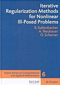 Iterative Regularization Methods for Nonlinear Ill-Posed Problems (Hardcover)