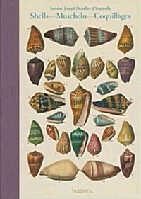 Shells - Muscheln - Coquillages (Hardcover, Multilingual)