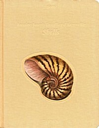 Shells 2010 Calendar (Hardcover, DES, Deluxe)