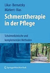 Schmerztherapie in Der Pflege: Schulmedizinische Und Komplement?e Methoden (Hardcover)