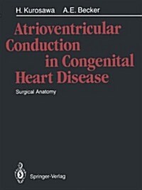 Atrioventricular Conduction in Congenital Heart Disease: Surgical Anatomy (Hardcover)