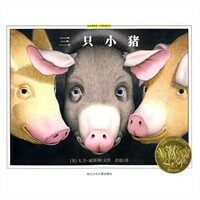 The Three Pigs (Hardcover)