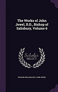 The Works of John Jewel, D.D., Bishop of Salisbury, Volume 6 (Hardcover)