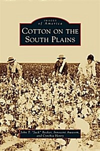 Cotton on the South Plains (Hardcover)