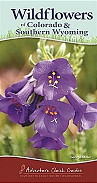 Wildflowers of Colorado & Southern Wyoming: Your Way to Easily Identify Wildflowers (Spiral)