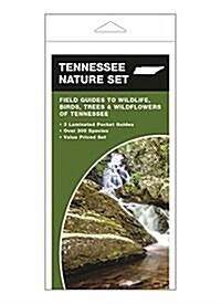 Tennessee Nature Set: Field Guides to Wildlife, Birds, Trees & Wildflowers of Tennessee (Other)