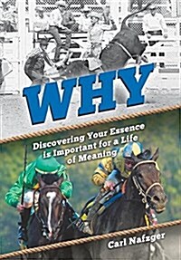 Why: Discovering Your Essence Is Important for a Life of Meaning (Hardcover)