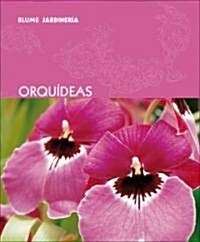 Orquideas/ Orchids (Paperback)
