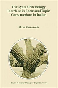 The Syntax-phonology Interface in Focus and Topic Constructions in Italian (Paperback)