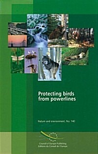 Protecting Birds from Powerlines, Nature and Environment No.140, 2005 (Paperback)