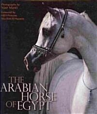 The Arabian Horse of Egypt (Hardcover)