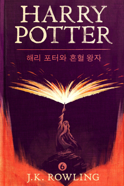 해리 포터와 혼혈 왕자 - Harry Potter and the Half-Blood Prince