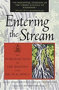 Entering the Stream (Paperback)