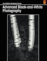 Advanced Black-And-White Photography (Paperback, Subsequent)