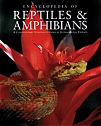 Encyclopedia of Reptiles & Amphibians (Hardcover, 2nd, Subsequent)