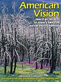 American Vision (Paperback)