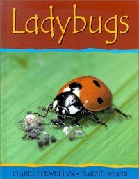 Ladybugs 표지이미지