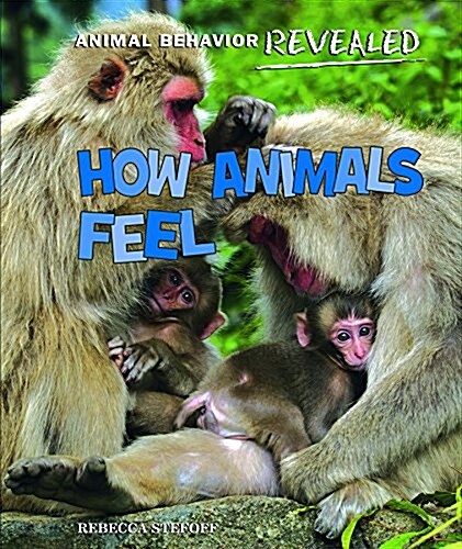 How Animals Feel (Paperback)